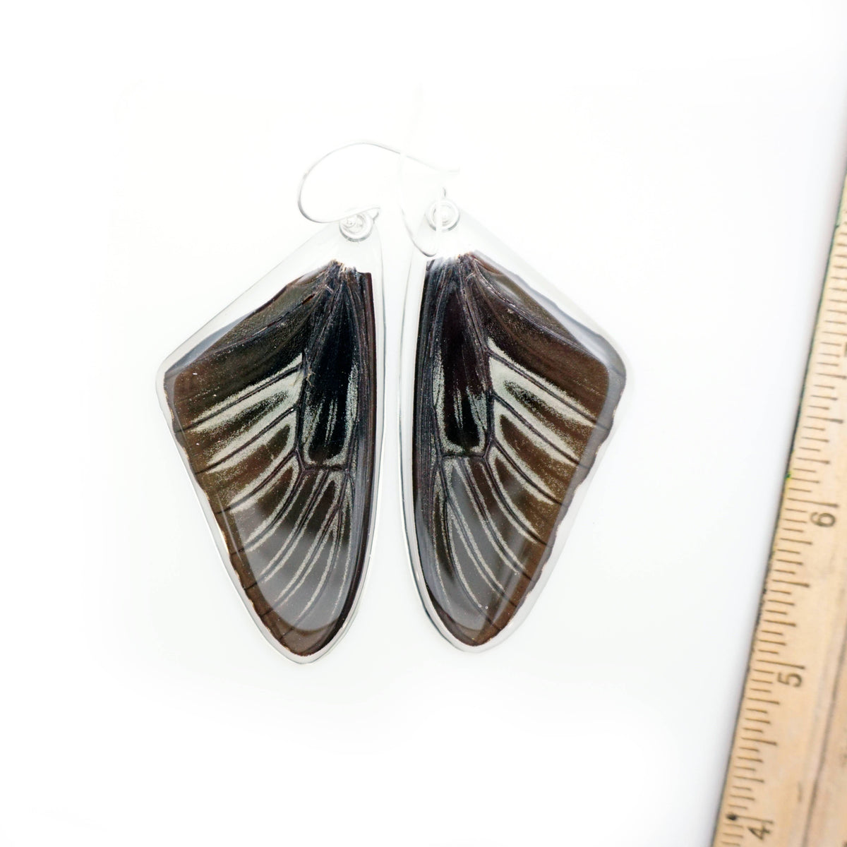 0625 Butterfly Earrings, Golden Birdwing, Top Wings