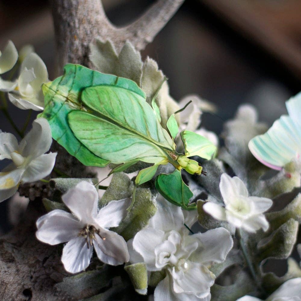 'Leaf' Besanti Moth and Leaf Insect Set