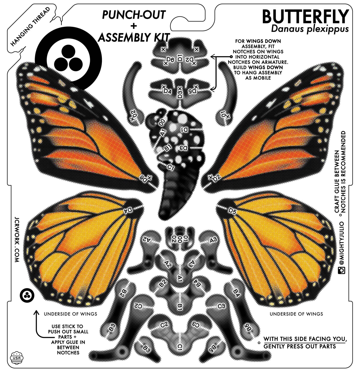 ARTHROPODA : BUTTERFLY
