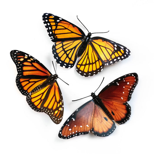 'Pollinator' Monarch Butterfly Set