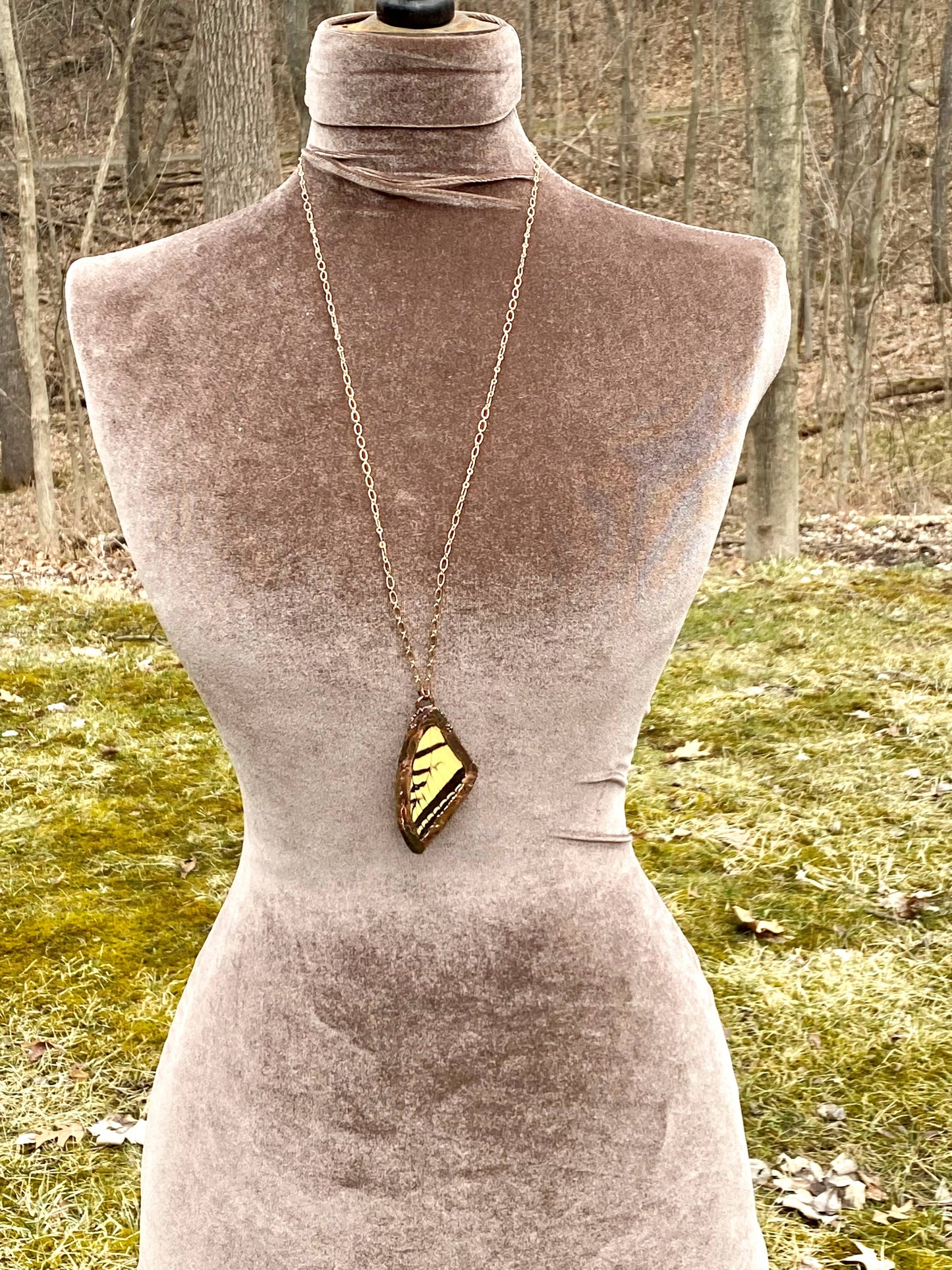 Real Tiger Swallowtail Butterfly Wing Pendant