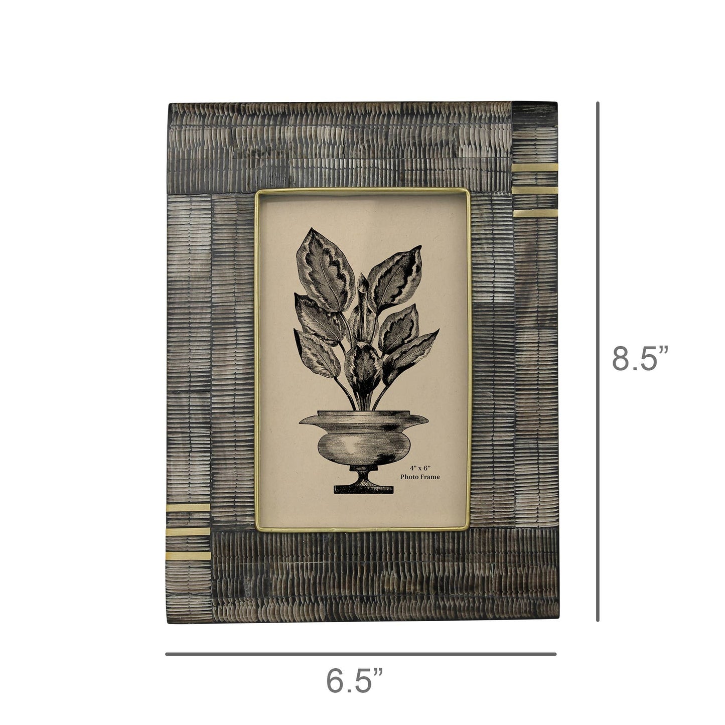 Acacia, Chiseled Horn & Brass Frame - 4x6
