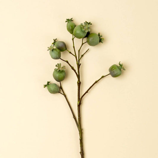 Poppy Pod Branch