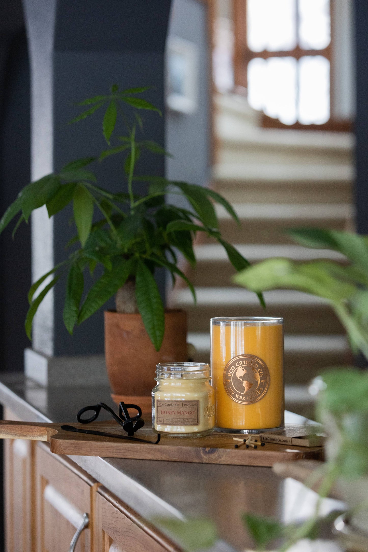 8oz mason HONEY MANGO