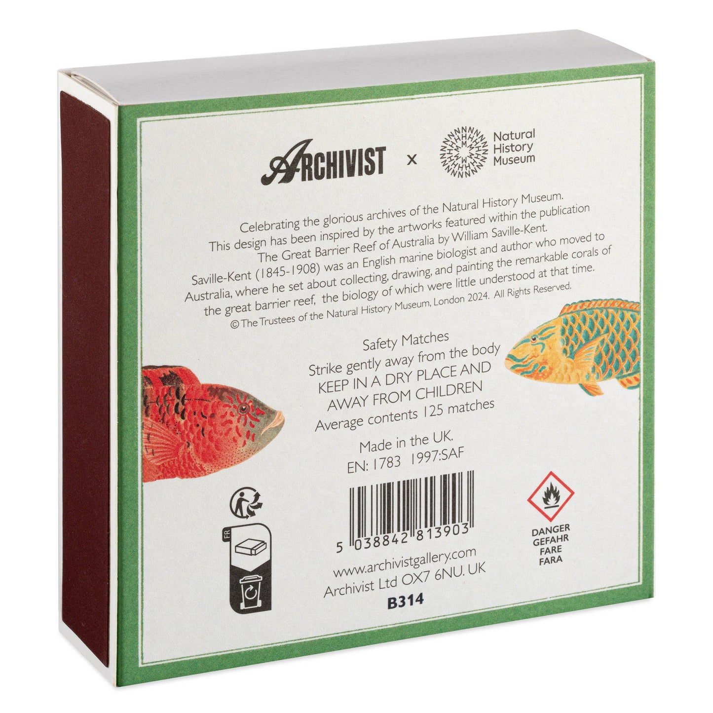 Natural History Museum Fish | Square - Safety Matches