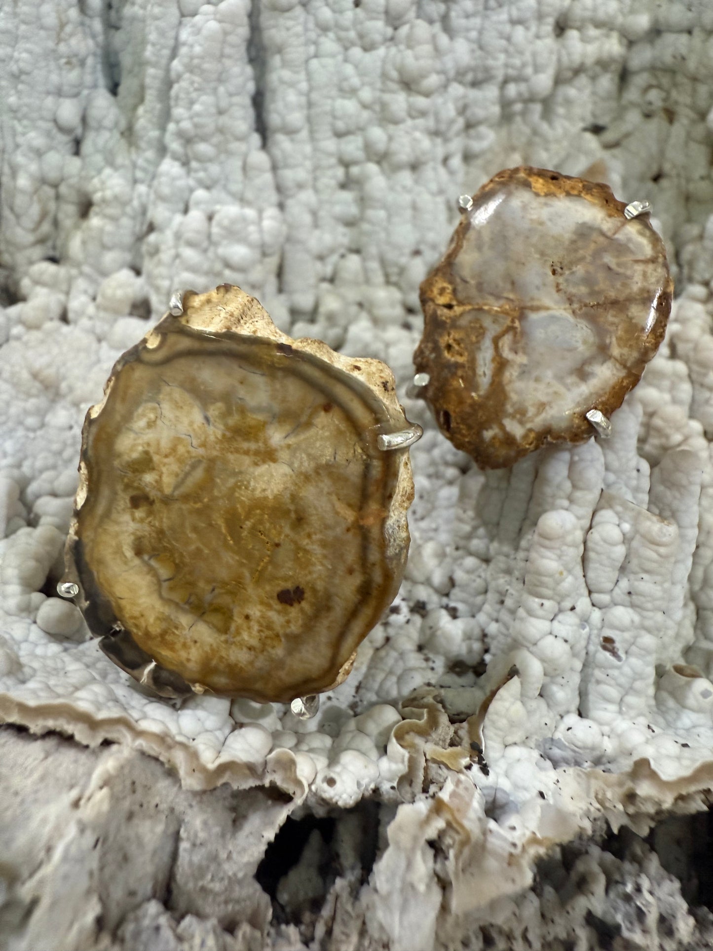 Petrified wood ring