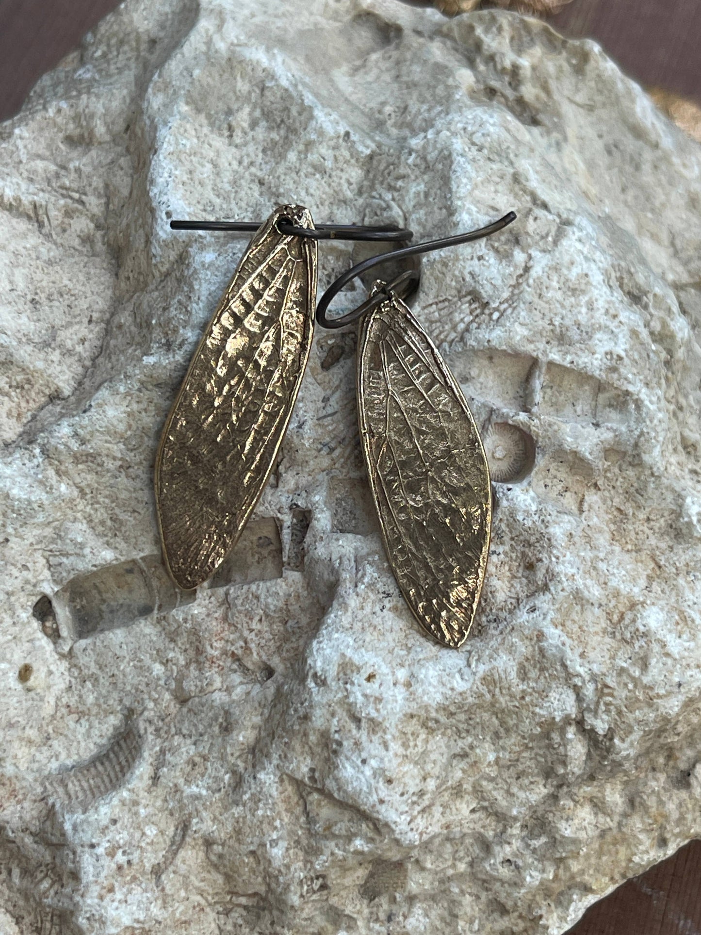 Cicada Wing Earrings (Silver, Bronze, or Copper): Bronze