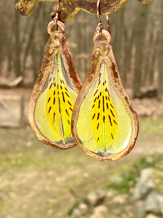 Real Yellow Peruvian Earrings - Copper Electroformed