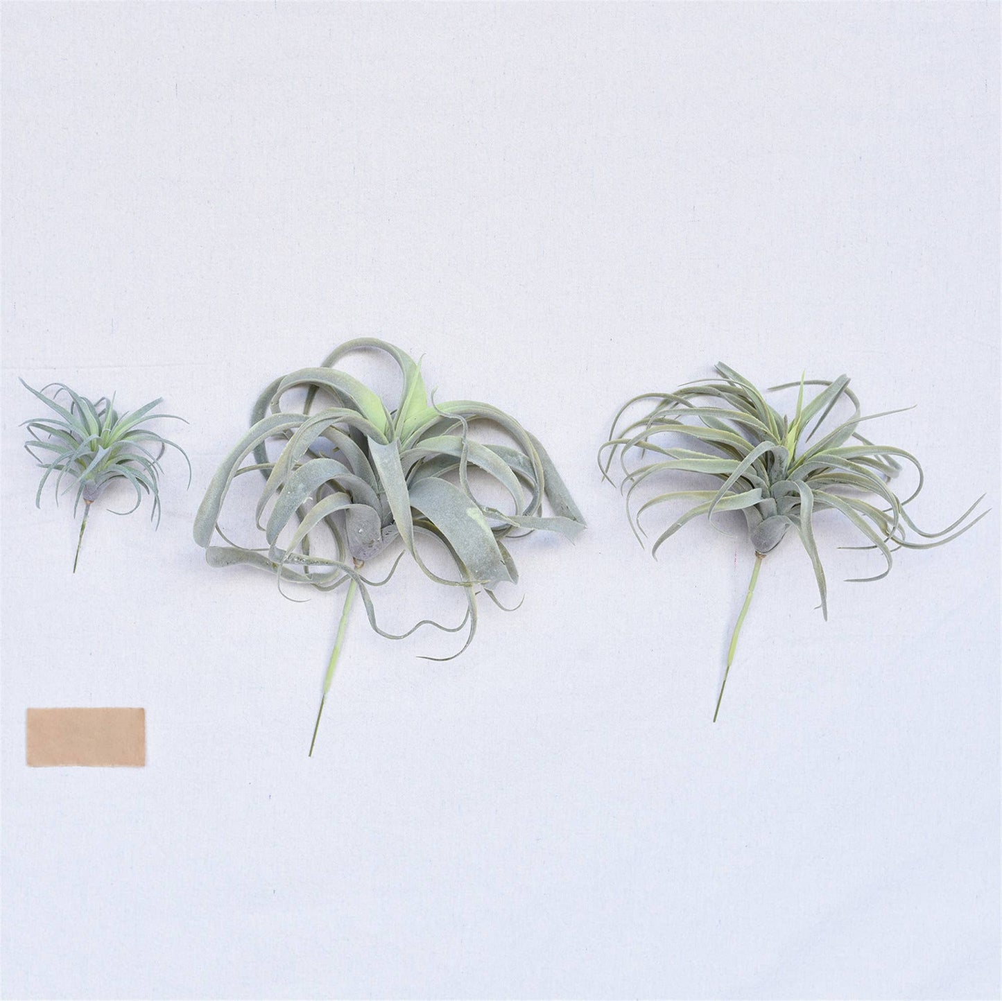 Faux Tillandsia - Lrg