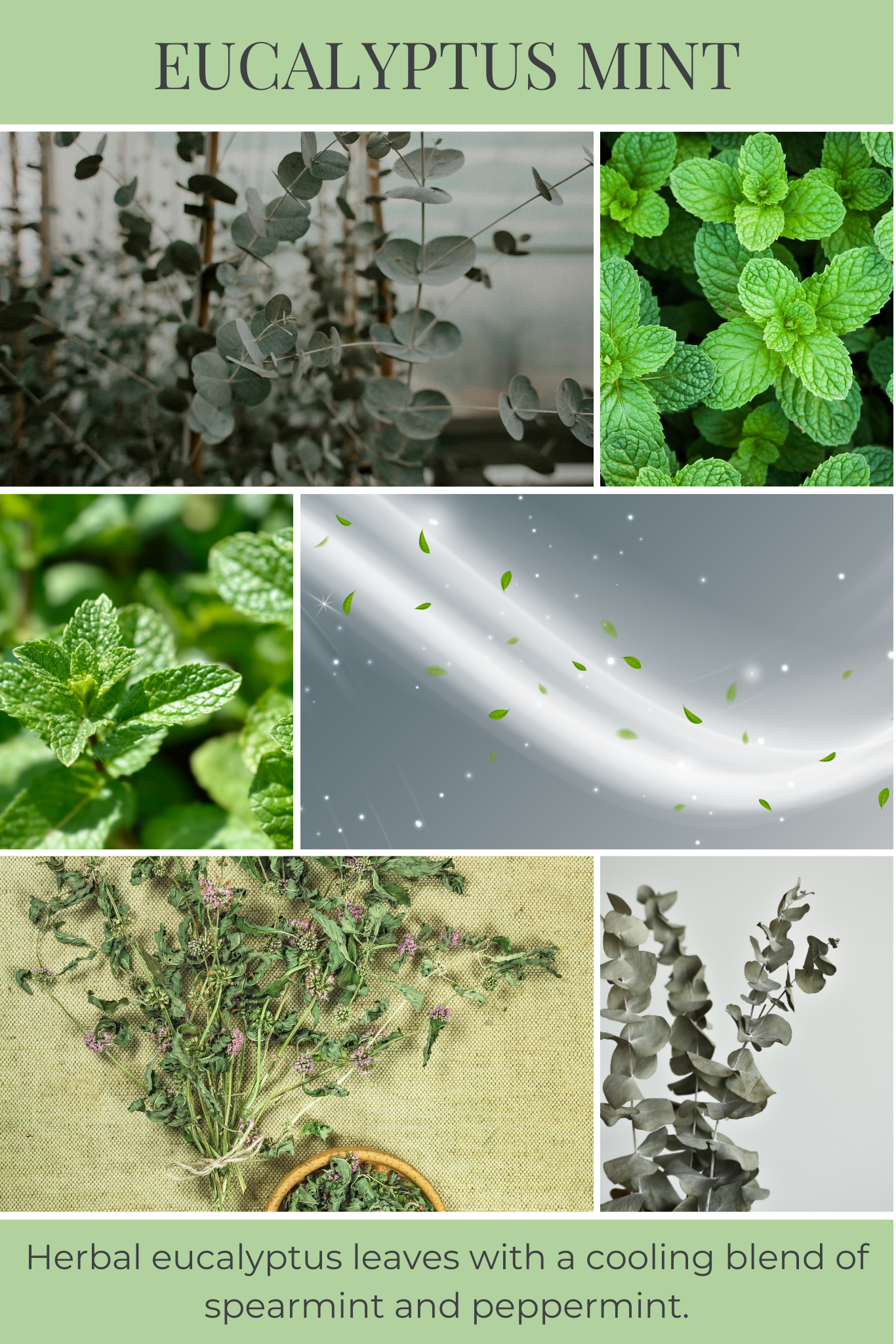 8oz mason EUCALYPTUS MINT