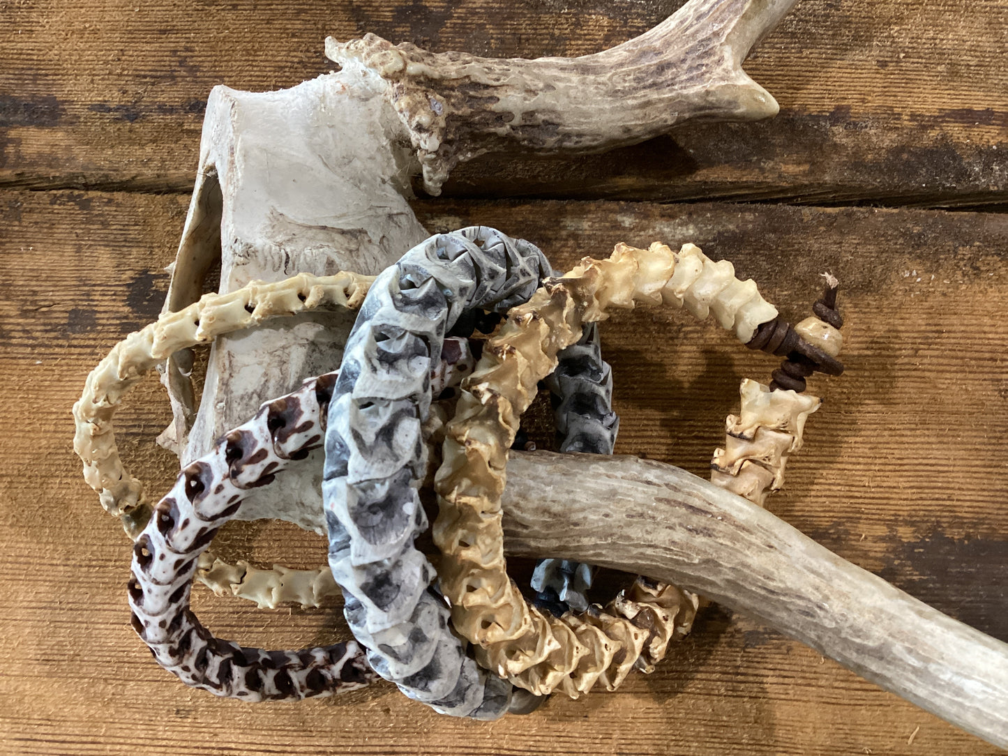 Snake vertebrate bracelet
