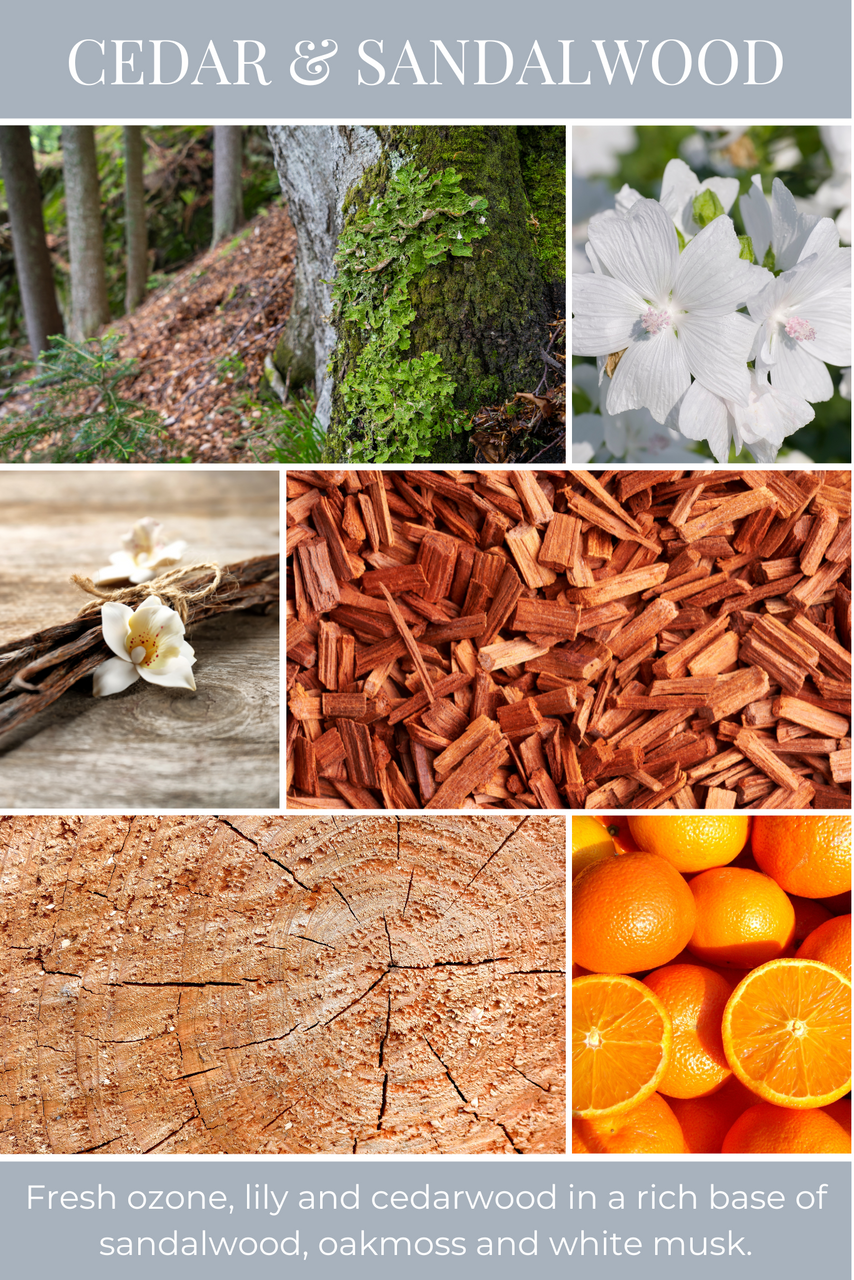 8oz mason CEDAR & SANDALWOOD 
