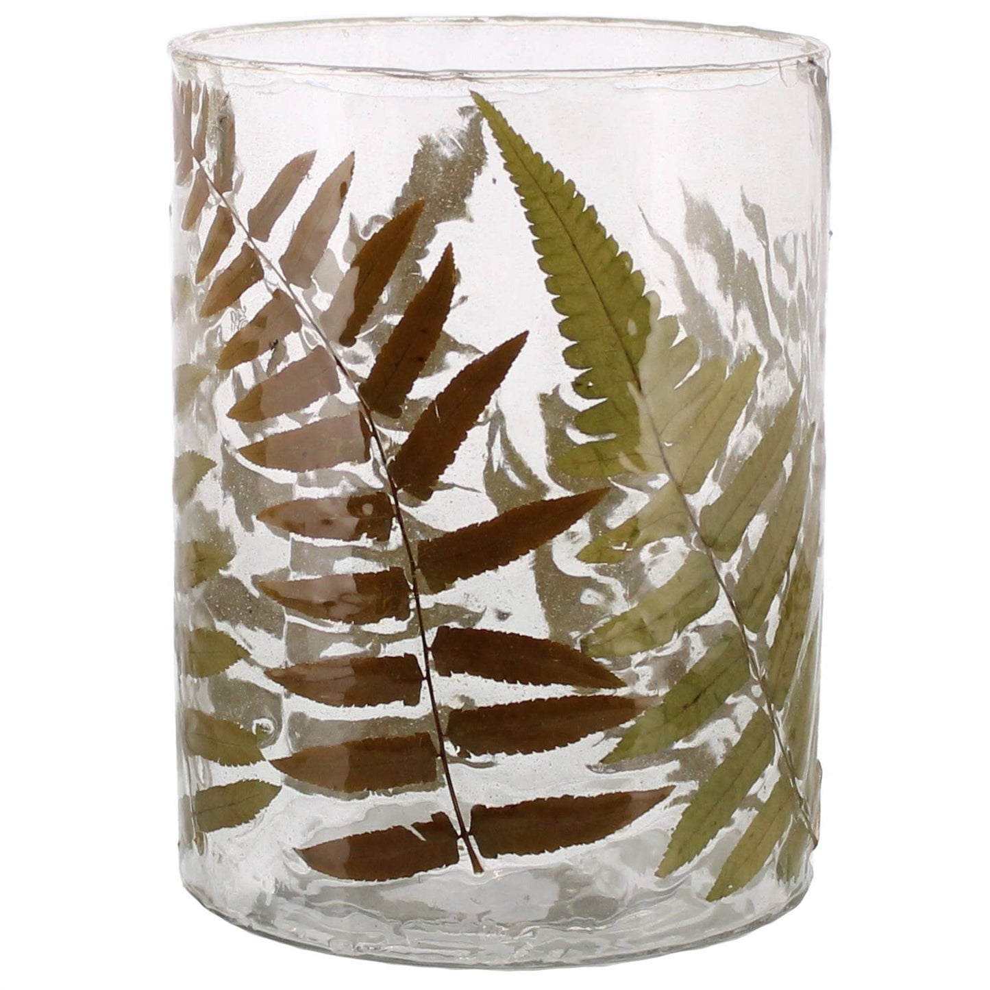 Enameled Fern Hurricane - Lrg - Fern