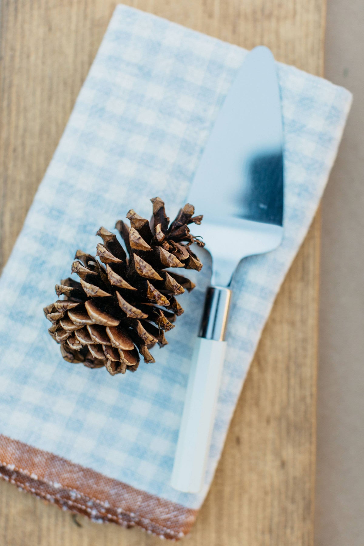 Two-Tone Gingham Blue/Cognac Napkins 20x20 - Set of 4: Blue/Cognac