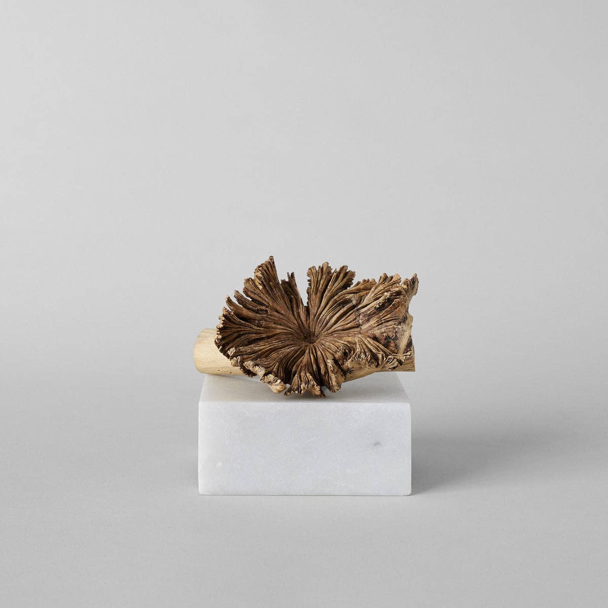 Rare Wood Flower: One Size