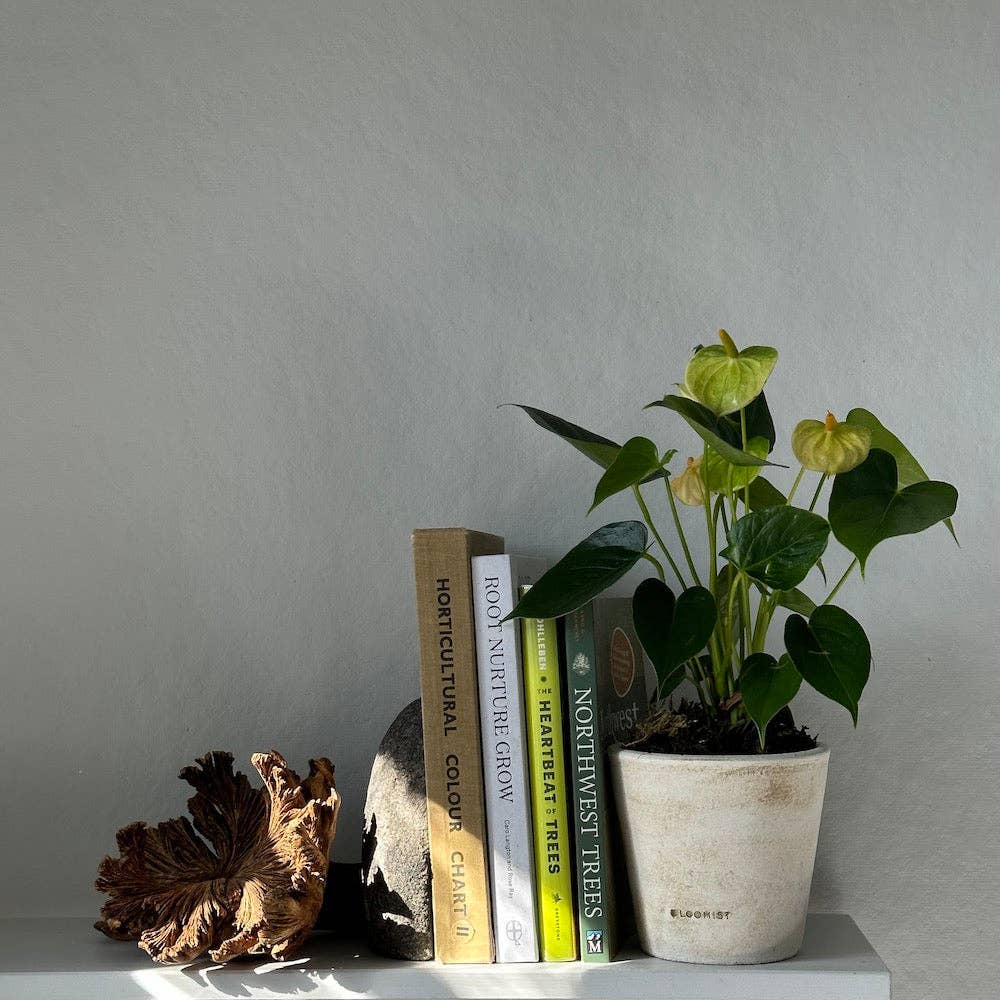 Rare Wood Flower: One Size