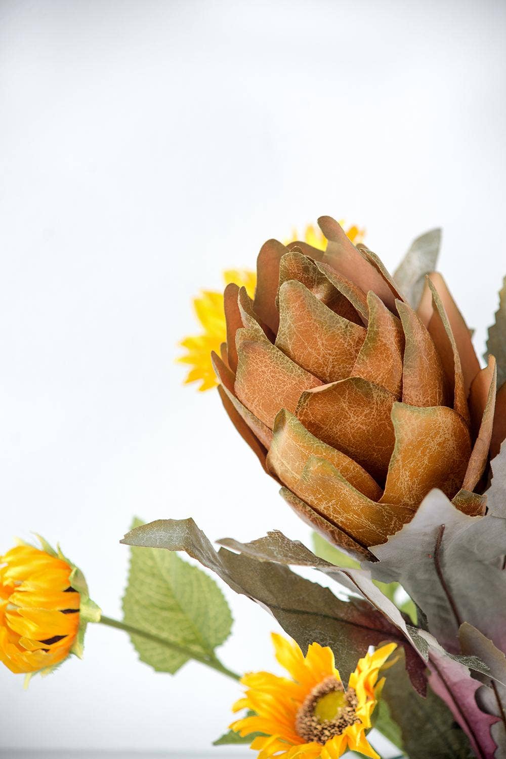 Artichoke Stem