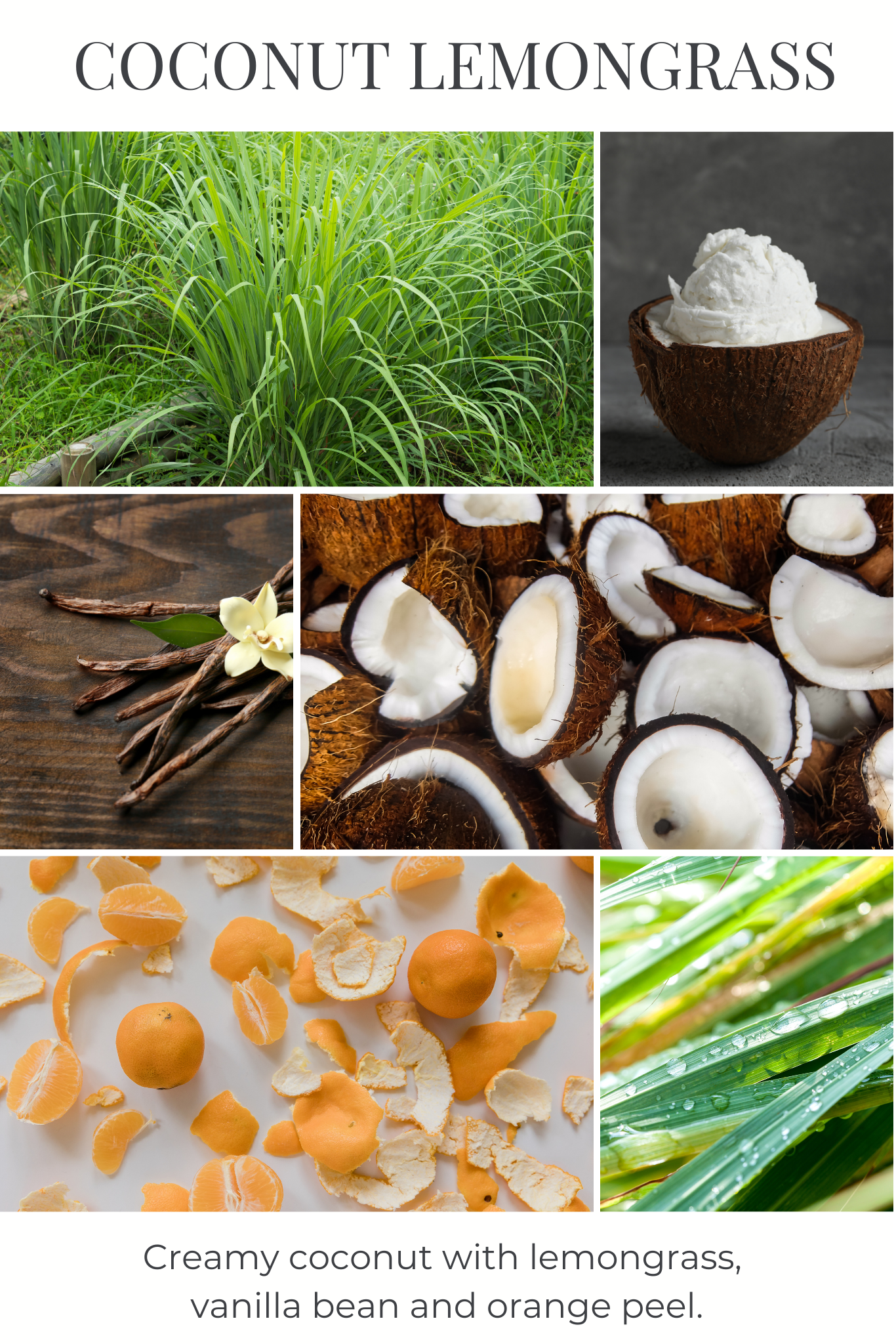 8oz mason COCONUT LEMONGRASS