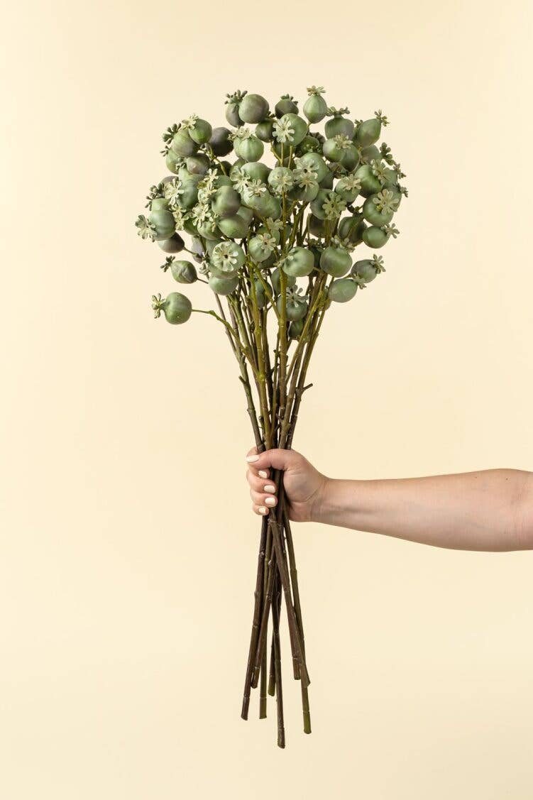 Poppy Pod Branch
