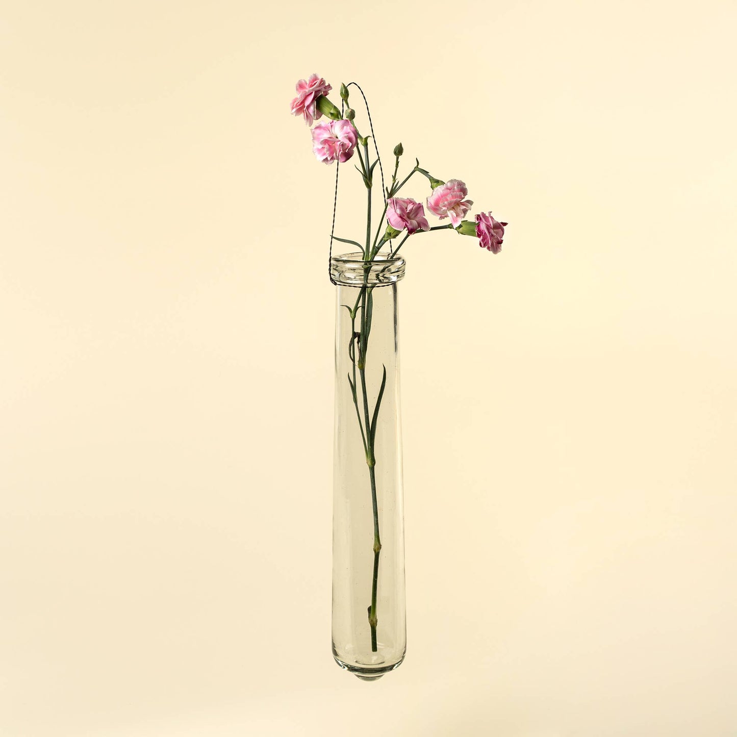Hanging Tube Vase L