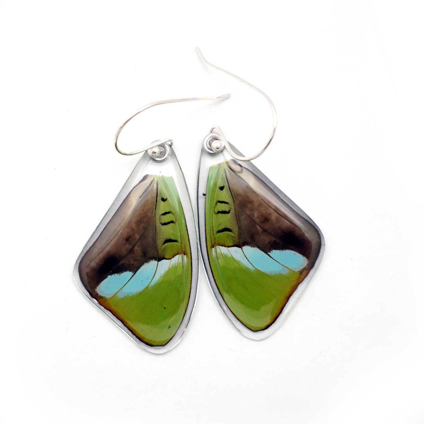 0593 Butterfly Earrings,  Hewitson's Olivewing, Top Wings