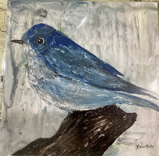 12x12 Eastern Blue Bird