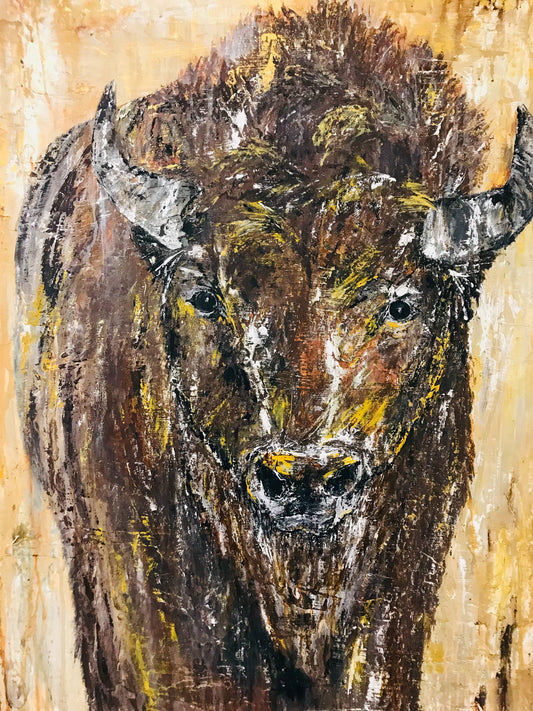 11x14 Bison