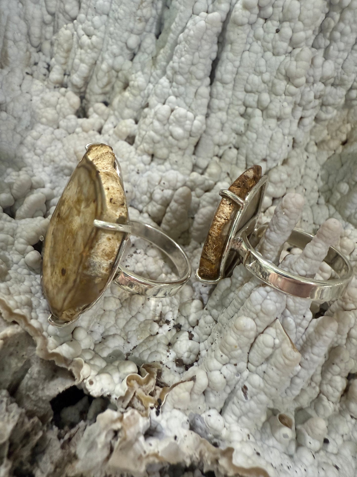Petrified wood ring