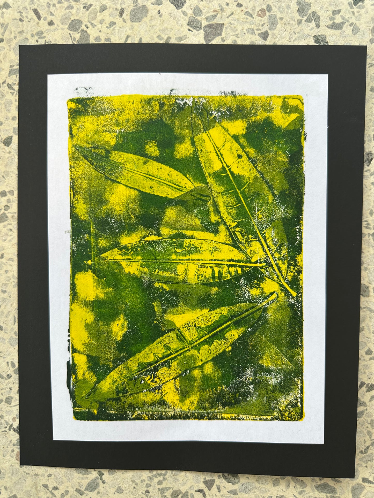 Studio Class | Botanical Gel Printing with Terri