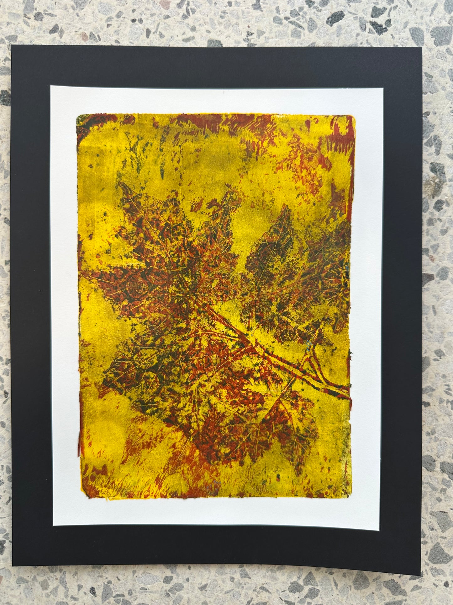 Studio Class | Botanical Gel Printing with Terri