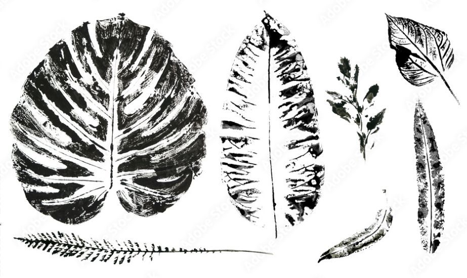 Studio Class | Printmaking with Terri