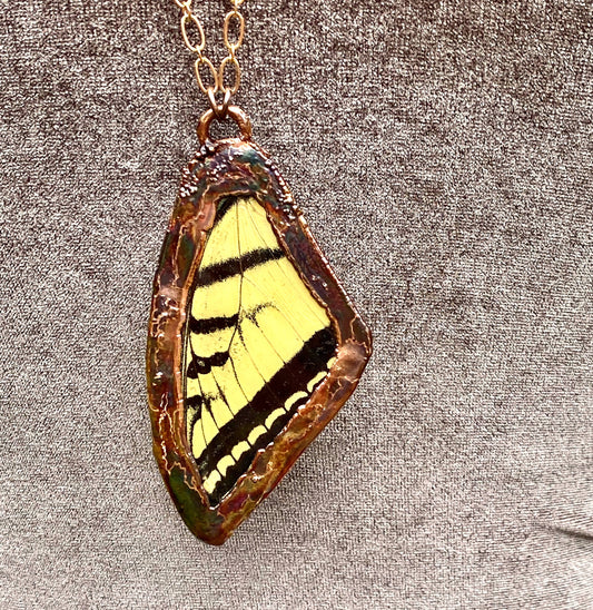 Real Tiger Swallowtail Butterfly Wing Pendant