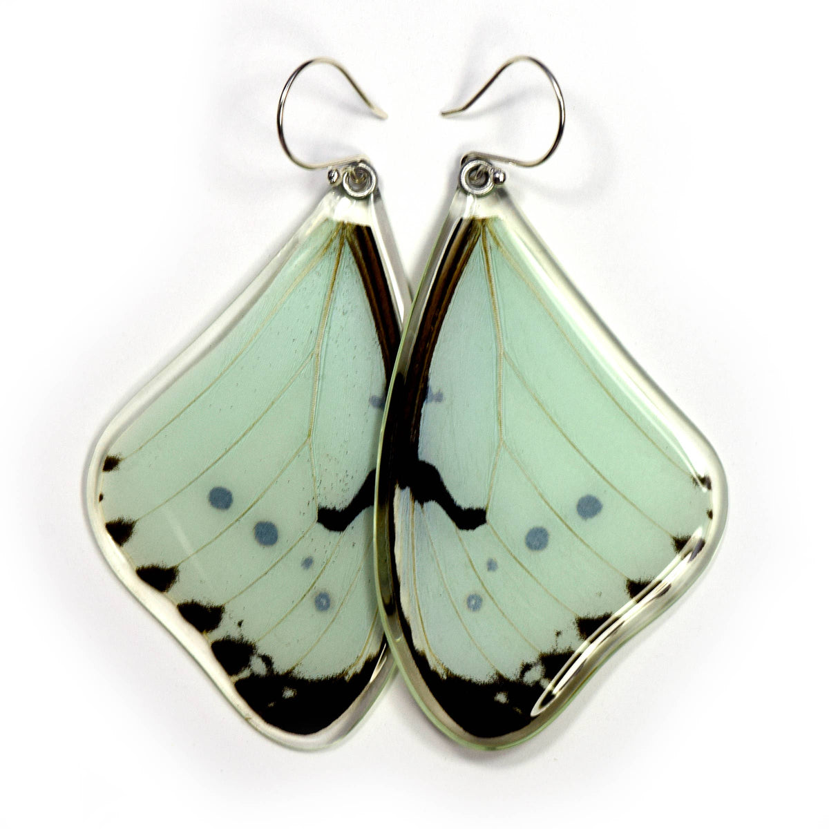 0530 Butterfly Earrings, Mint Morpho Butterfly, top