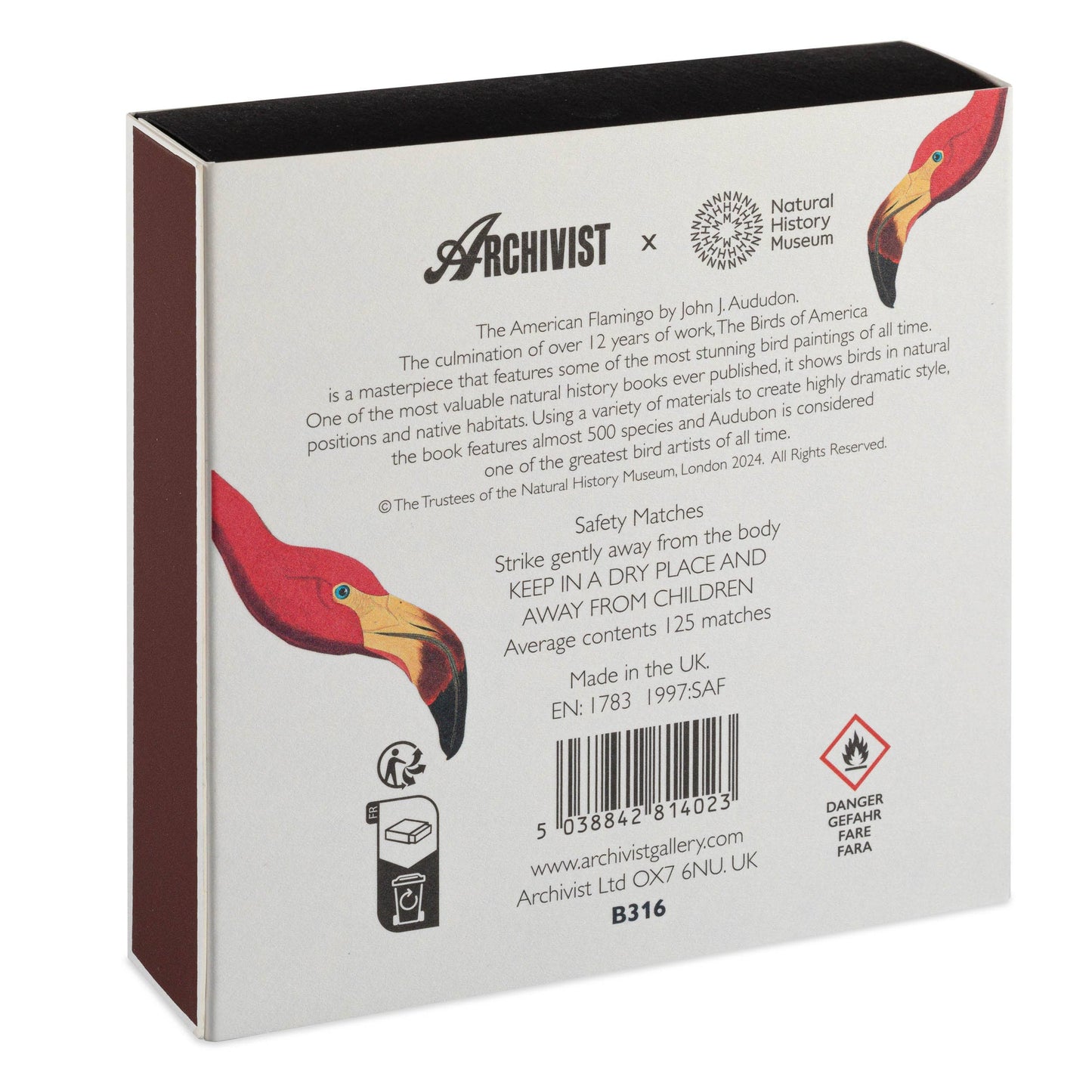 The American Flamingo  | Square - Safety Matches