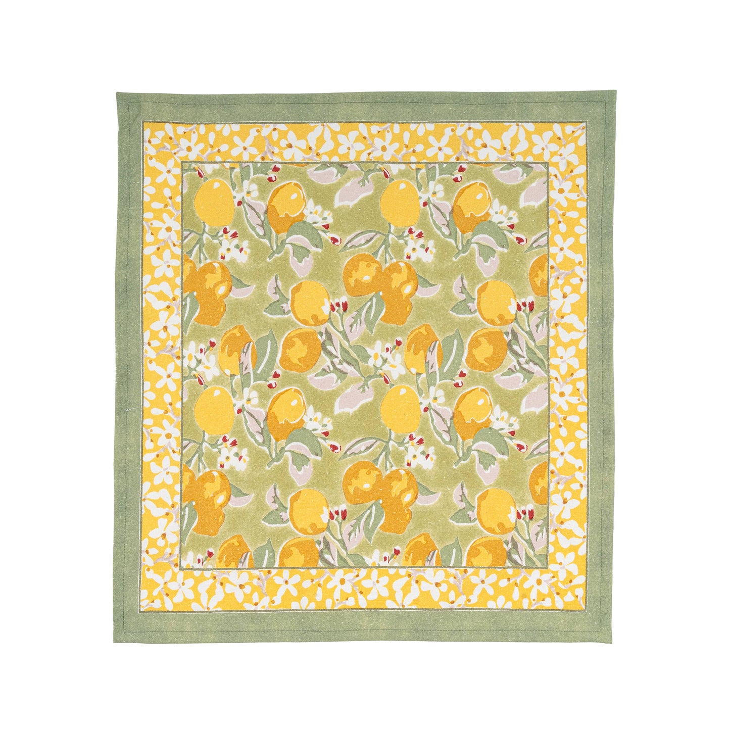 Citron Vert & Yellow Napkins 19x19 - Set of 6