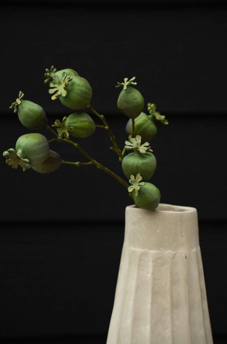 Poppy Pod Branch