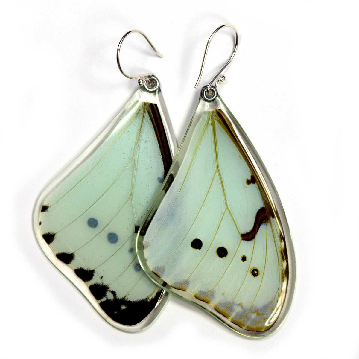 0530 Butterfly Earrings, Mint Morpho Butterfly, top
