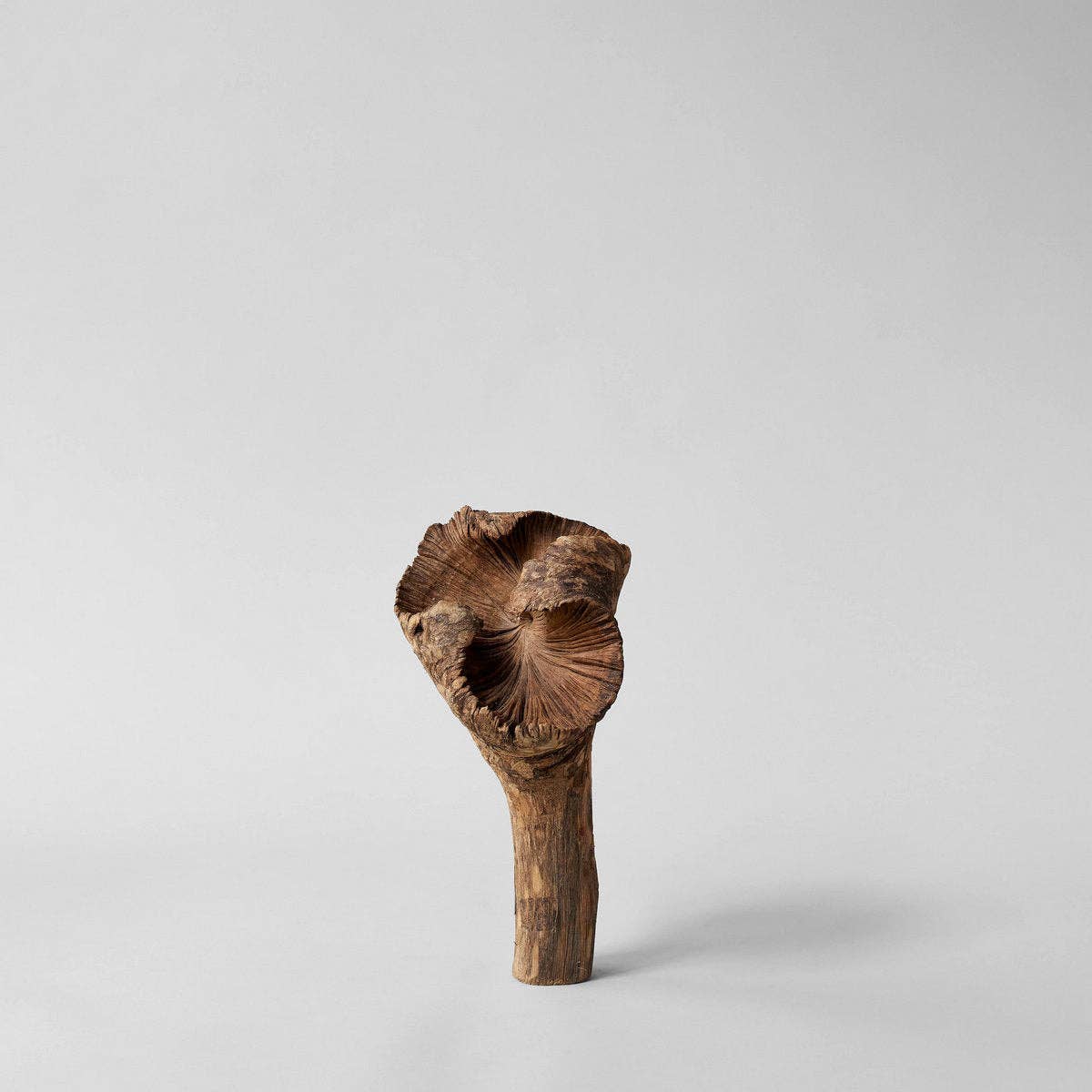 Rare Wood Flower: One Size
