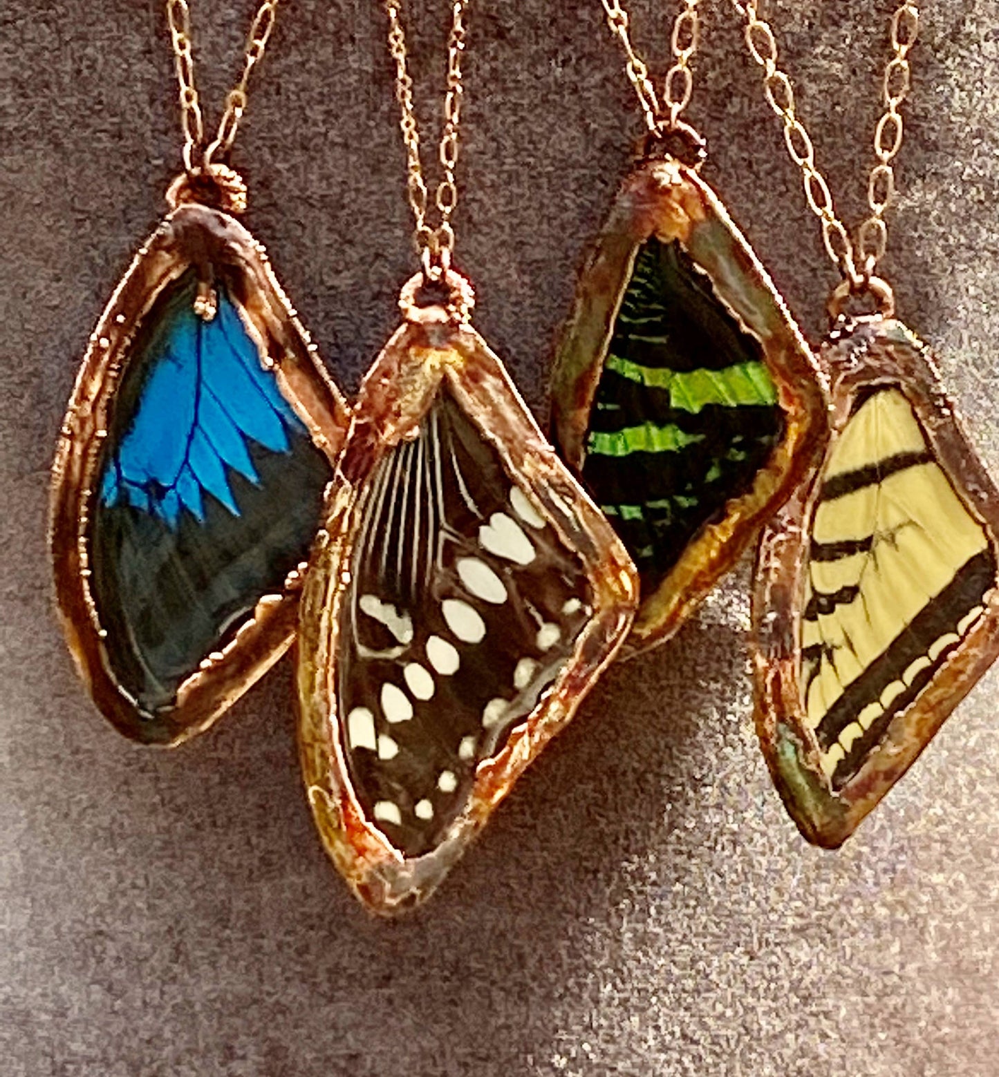 Real Tiger Swallowtail Butterfly Wing Pendant