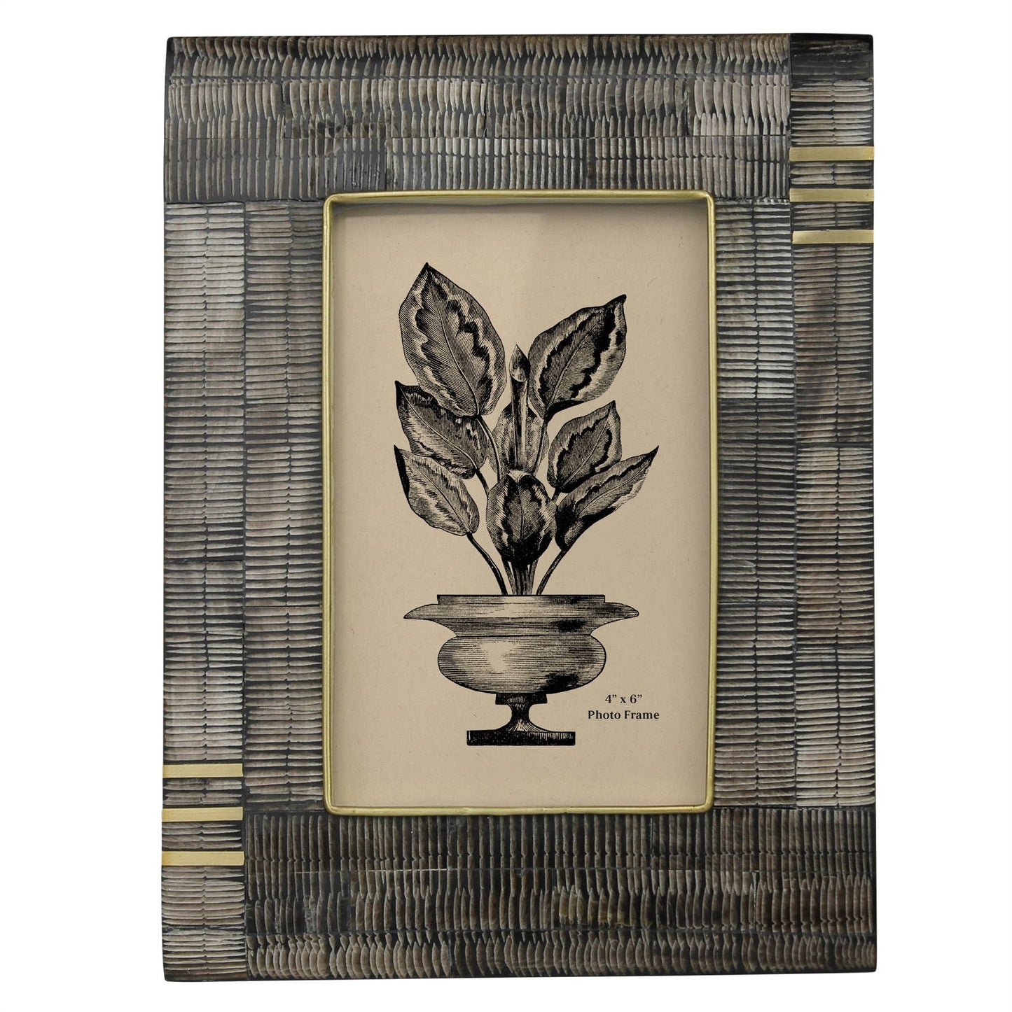Acacia, Chiseled Horn & Brass Frame - 4x6