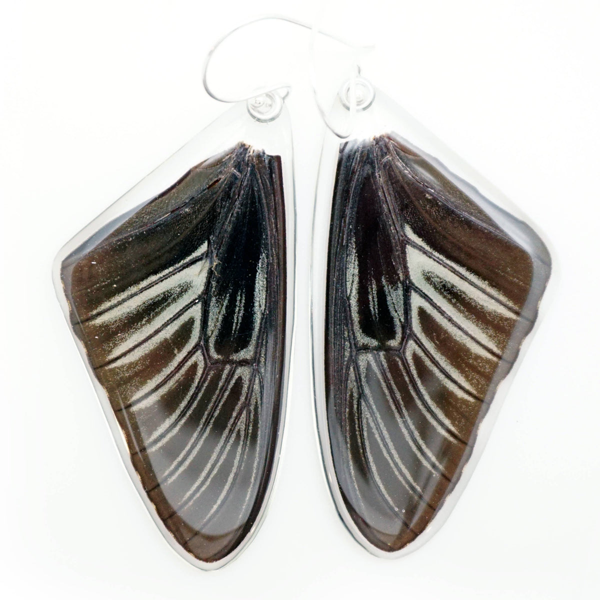 0625 Butterfly Earrings, Golden Birdwing, Top Wings
