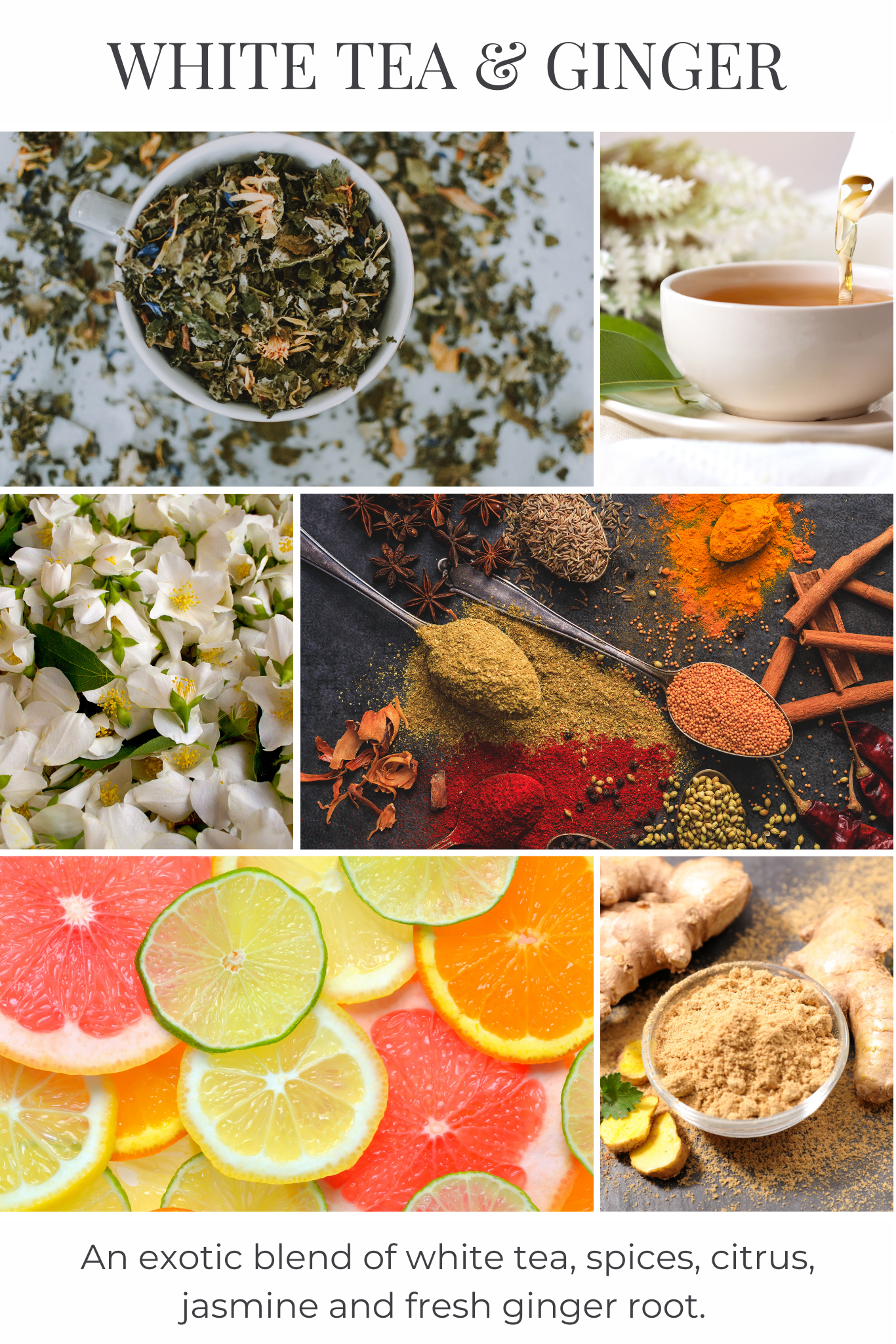 8oz mason WHITE TEA & GINGER