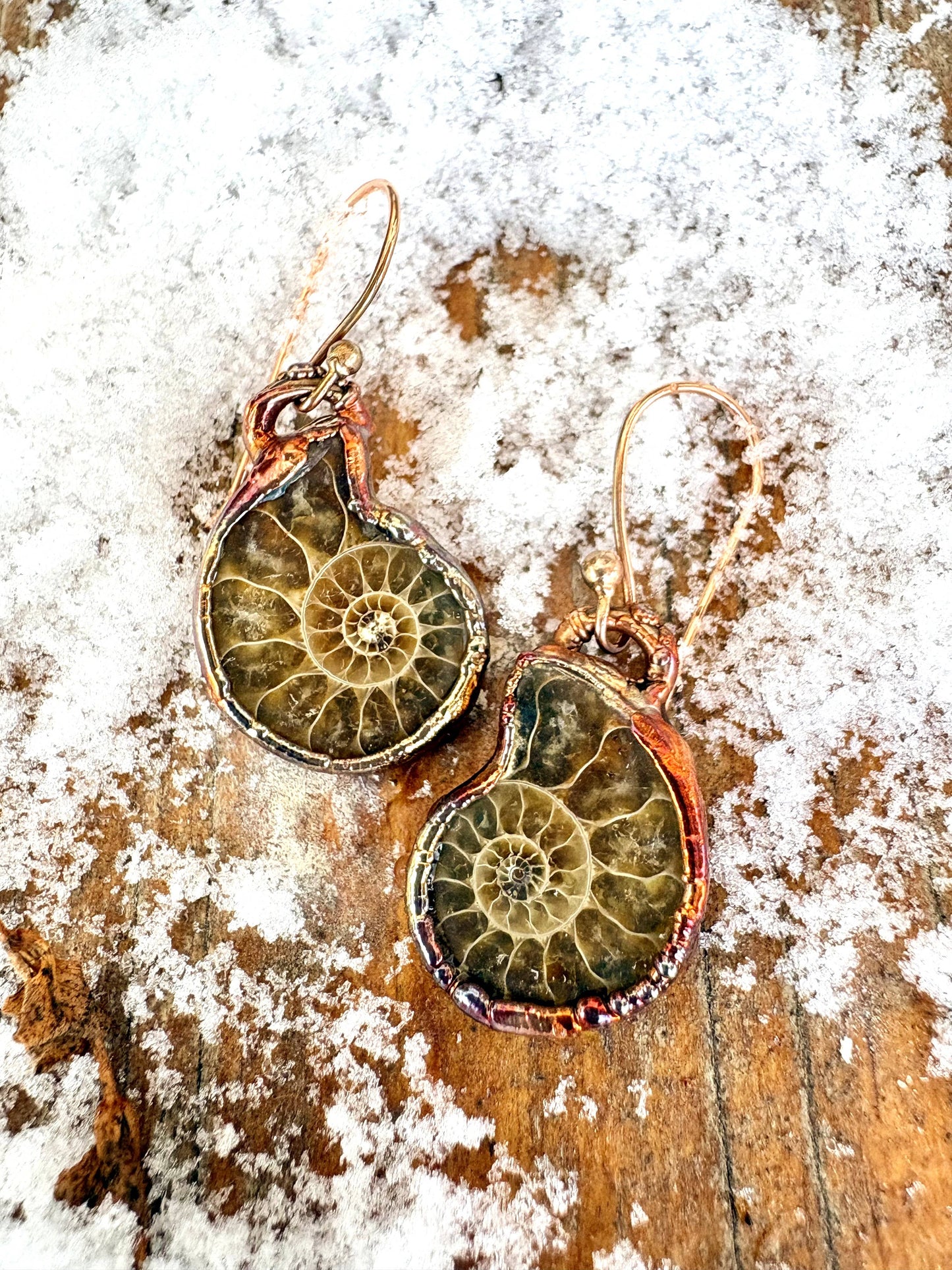 Ammonite Earrings Copper Electroformed