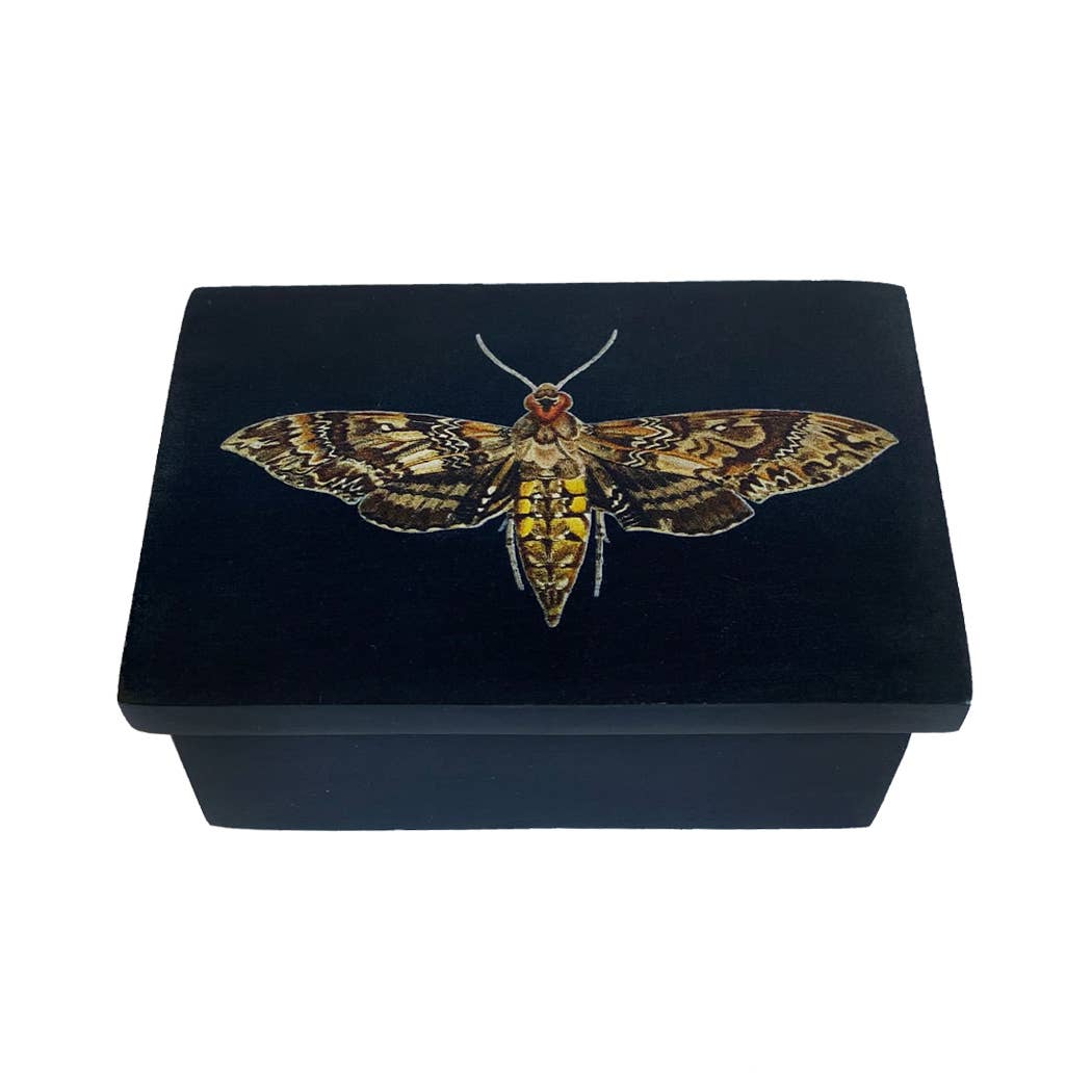 Hawk Moth Black Soap Stone Trinket-Jewelry Box, 3"