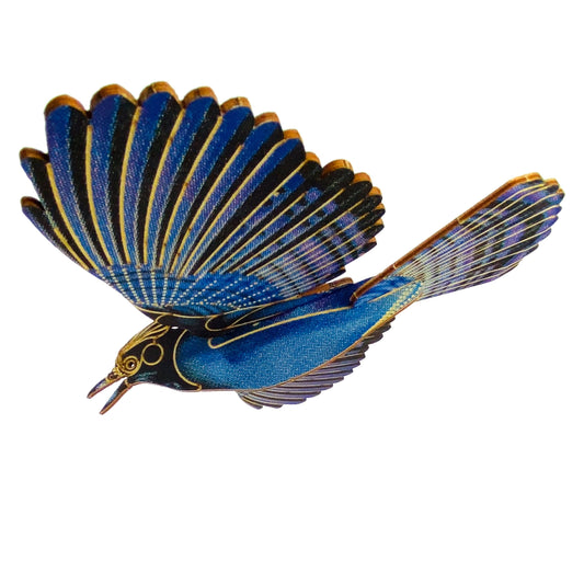 BIRDS : STELLER'S JAY