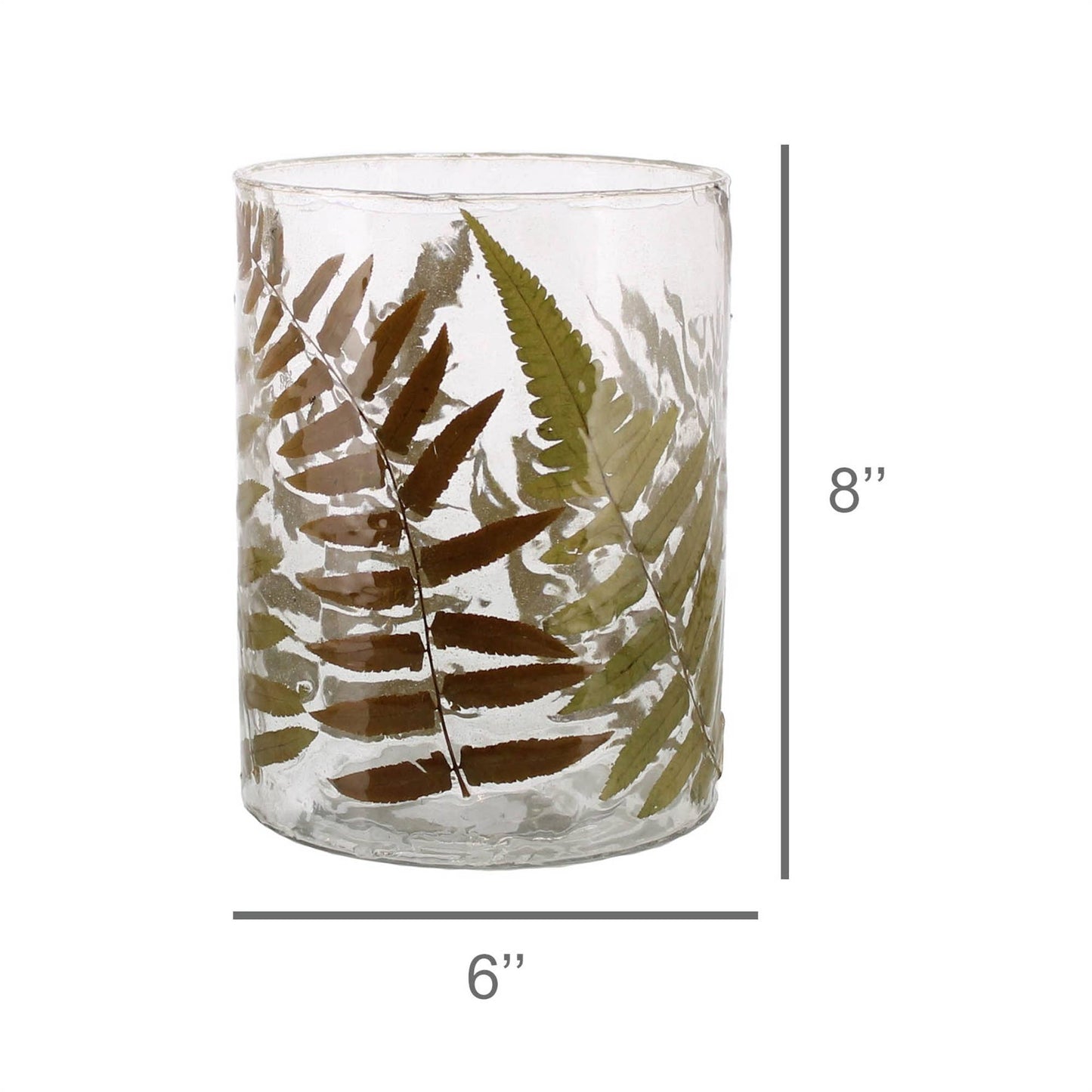 Enameled Fern Hurricane - Lrg - Fern