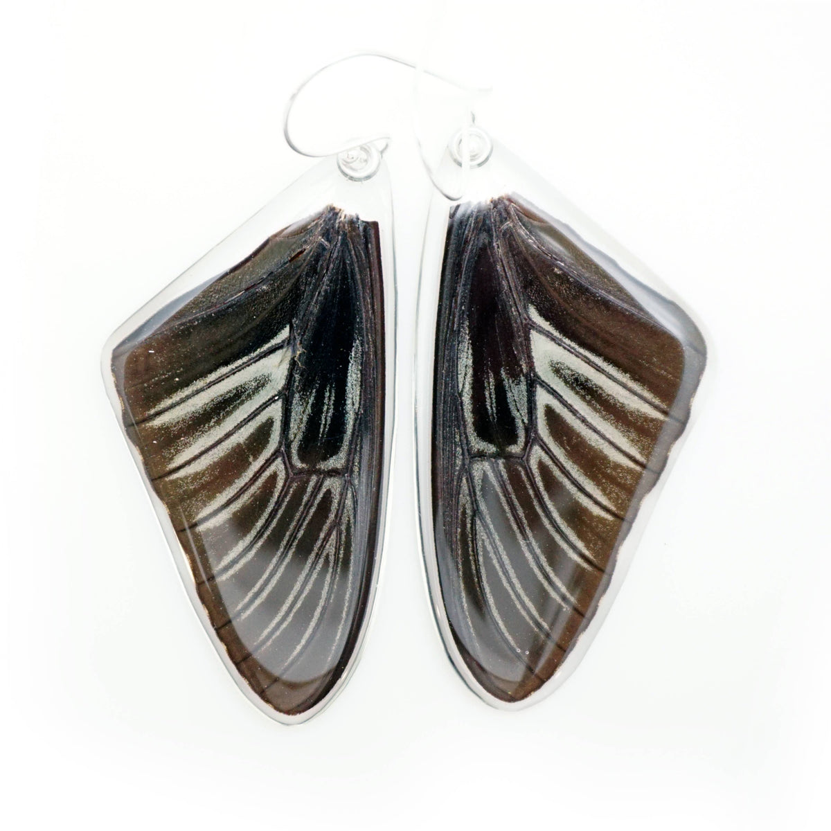 0625 Butterfly Earrings, Golden Birdwing, Top Wings