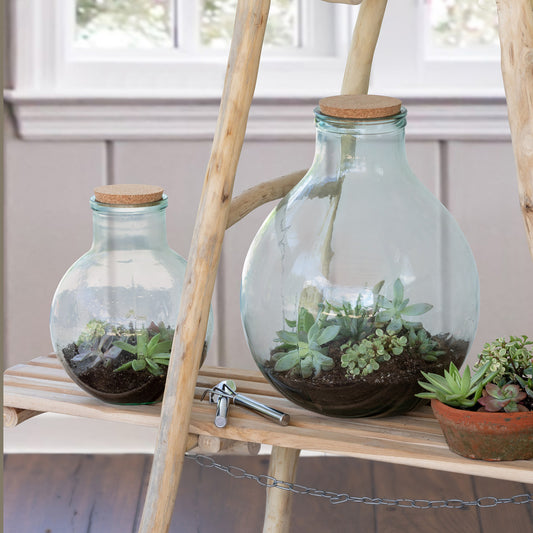 Glass Terrarium
