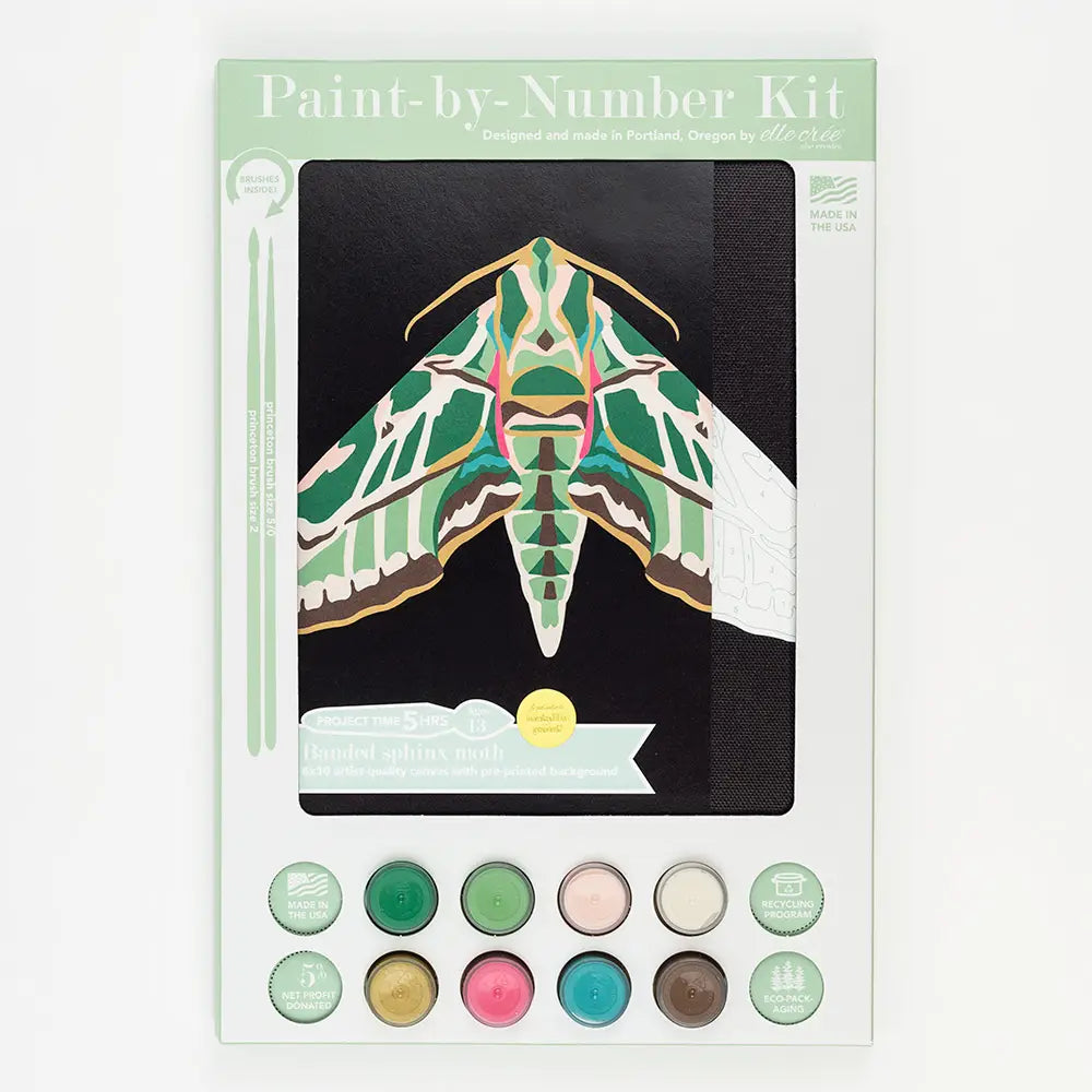 Paint By Number Kit