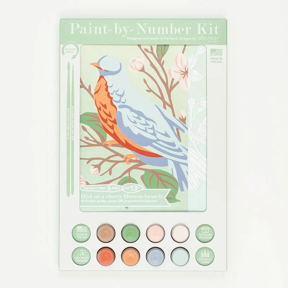 Paint By Number Kit